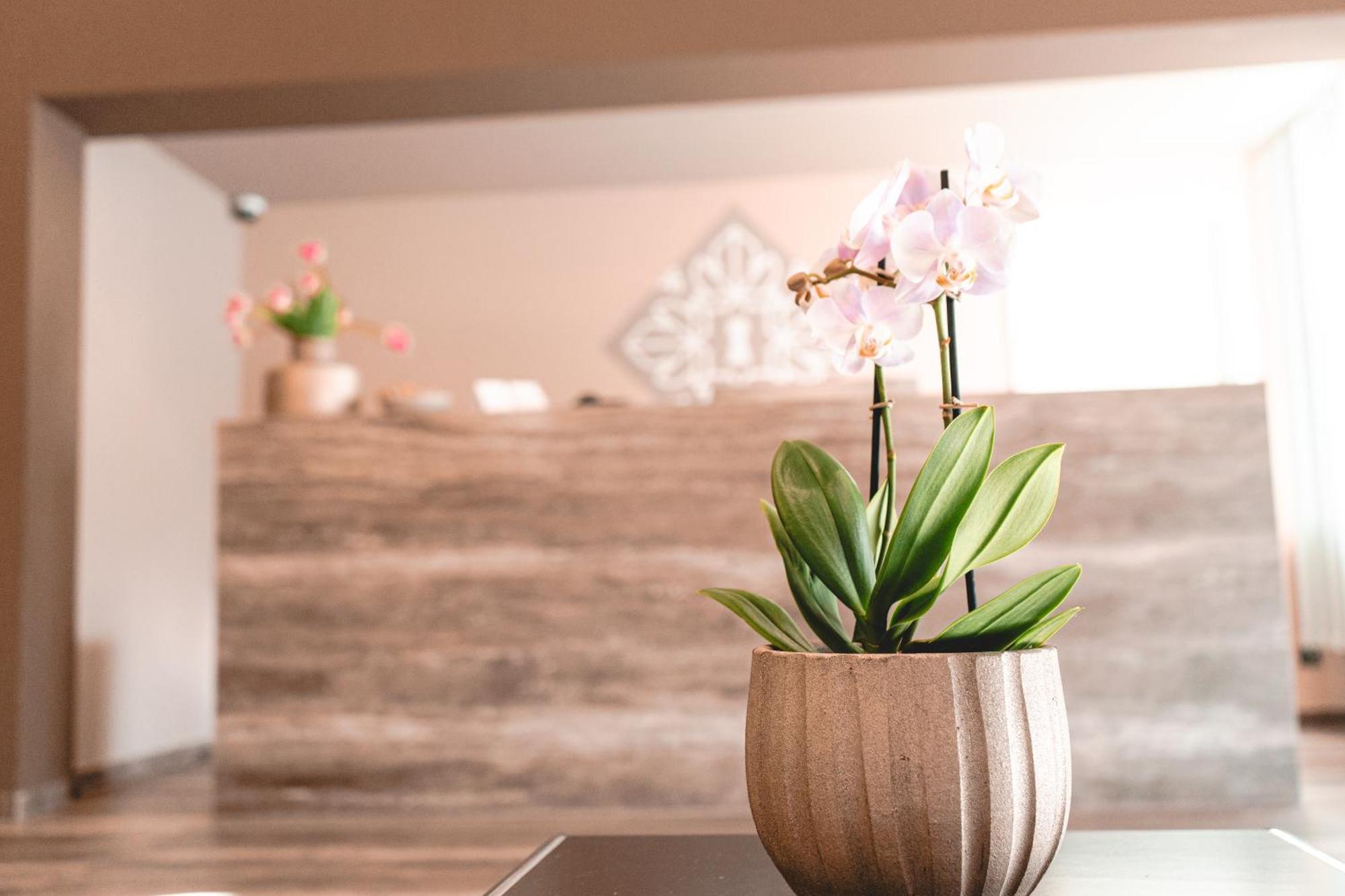 Remstal Hotel Weinstadt Εξωτερικό φωτογραφία